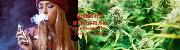 крисы Алапаевск