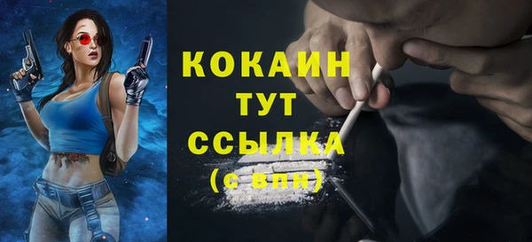 шишки Мегион
