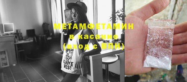 шишки Мегион