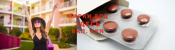 шишки Мегион