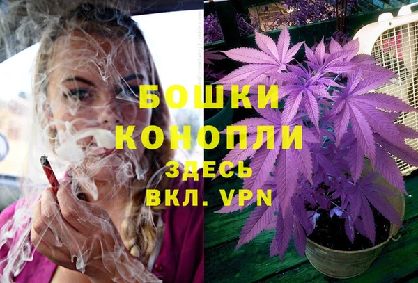 шишки Мегион