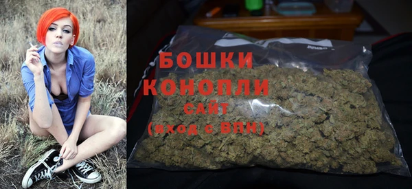 соль ск Медногорск