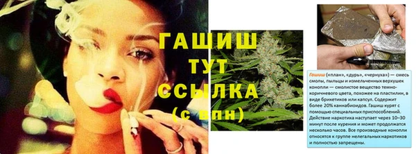 шишки Мегион