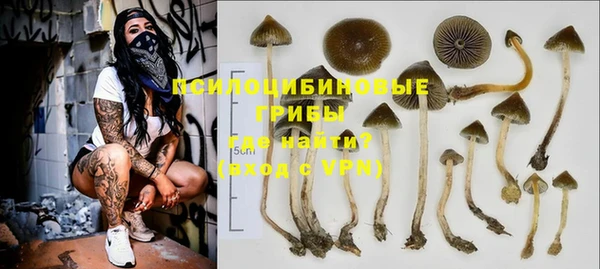 шишки Мегион